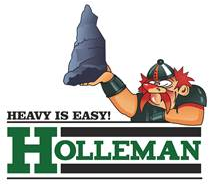 Mecanic/ electrician auto/ sef echipa (trailere, camione si semiremorci).